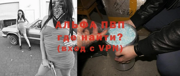 сатива Богданович