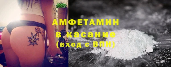 ГАЛЛЮЦИНОГЕННЫЕ ГРИБЫ Бородино