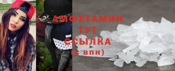 сатива Богданович
