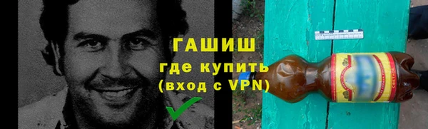 индика Дмитриев