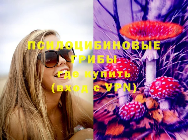 таблы Богородицк