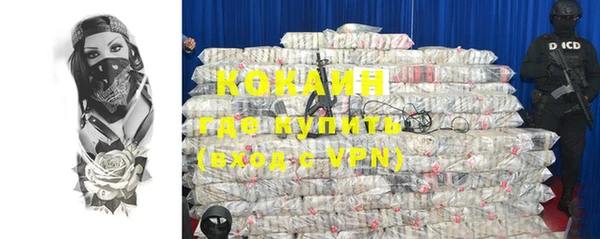 сатива Богданович