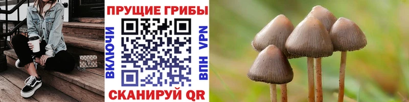 shop какой сайт  Кирово-Чепецк  Псилоцибиновые грибы Magic Shrooms  хочу наркоту 